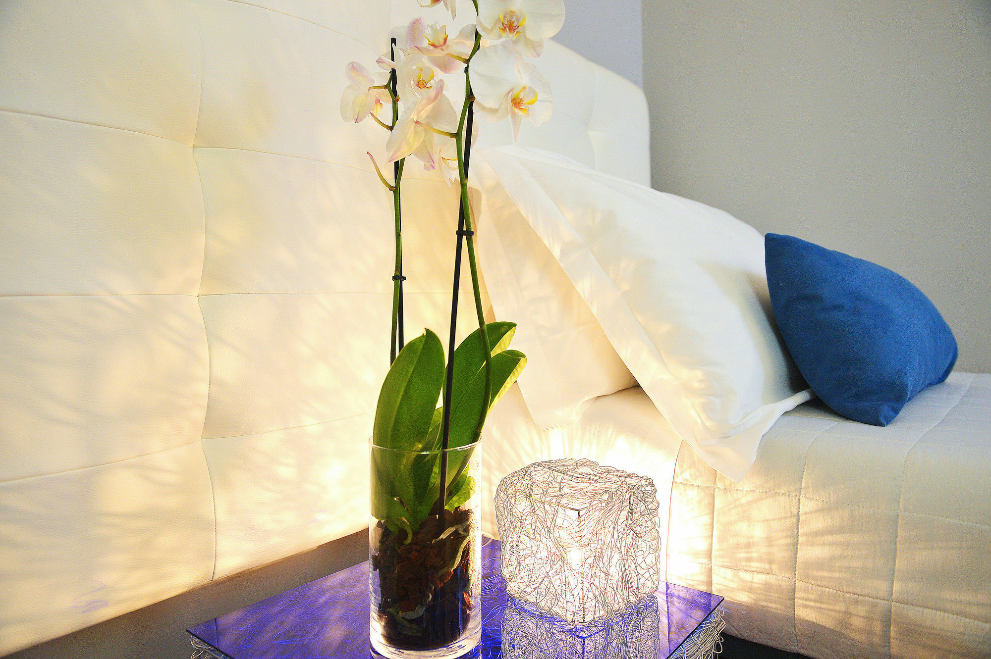B-Cool (Adults Only) Bed & Breakfast Roma Eksteriør bilde